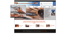 Desktop Screenshot of fernandodominguez-lures.com